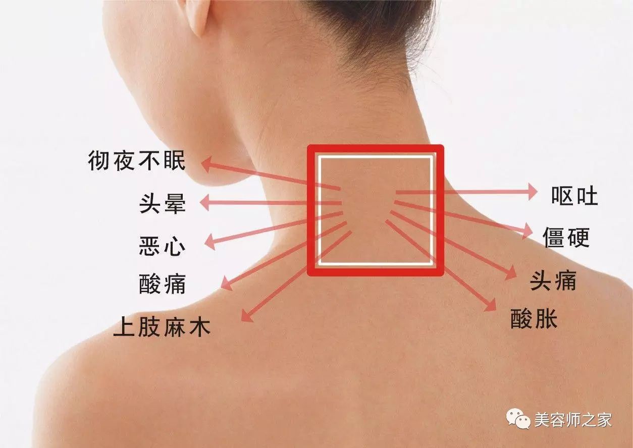 中医理疗保健：肩颈是毒素最容易堆积的地方，是致病的关键!!!-搜狐大视野-搜狐新闻